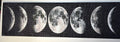 Black and White Moon Phases