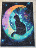Cat Moon