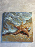 Starfish